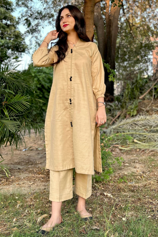 Sajni Solid (2 Piece) CO-Ord Set - Khaddar Shirt & Trouser