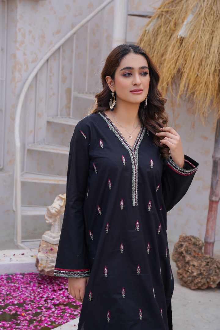 Parizey (2 Piece) - Embroidered Lawn Shirt & Trouser